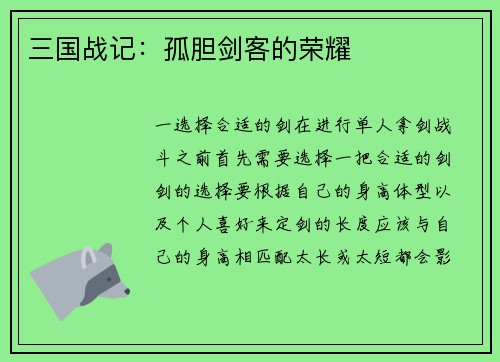三国战记：孤胆剑客的荣耀